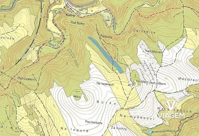 Prodej podílu lesa, Kuřimská Nová Ves, 6242 m2