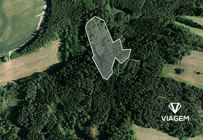 Prodej lesa, Bochovice, 10509 m2