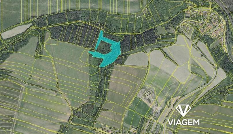 Prodej podílu lesa, Chlum, 2803 m2