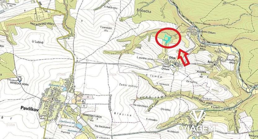 Prodej podílu lesa, Chlum, 2803 m2