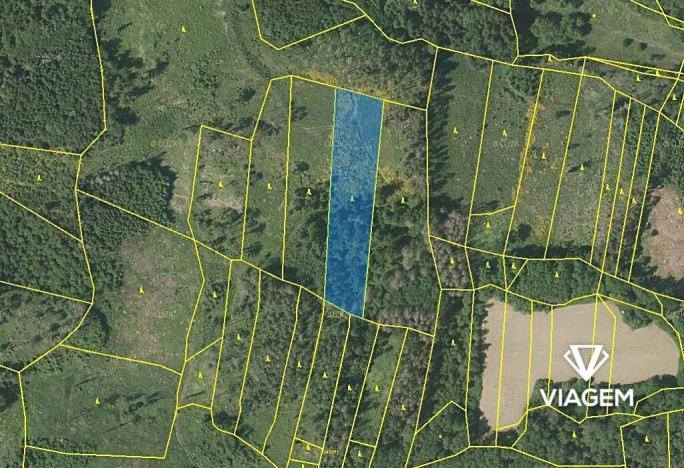 Prodej lesa, Nalžovské Hory, 6708 m2