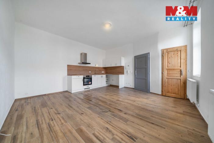 Pronájem bytu 1+kk, Plzeň - Východní Předměstí, 24 m2