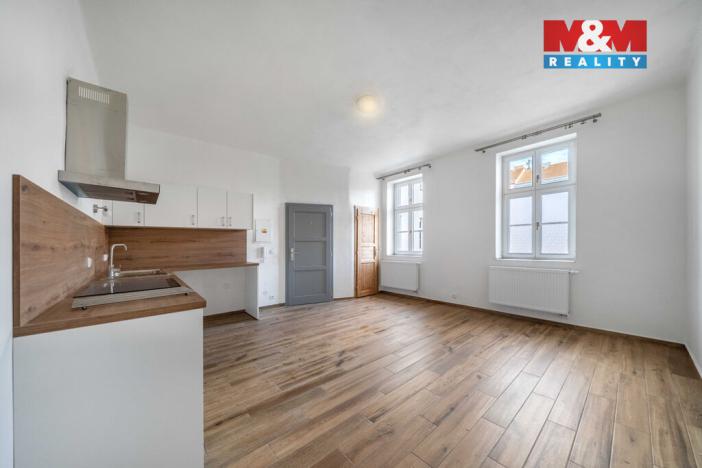 Pronájem bytu 1+kk, Plzeň - Východní Předměstí, 24 m2