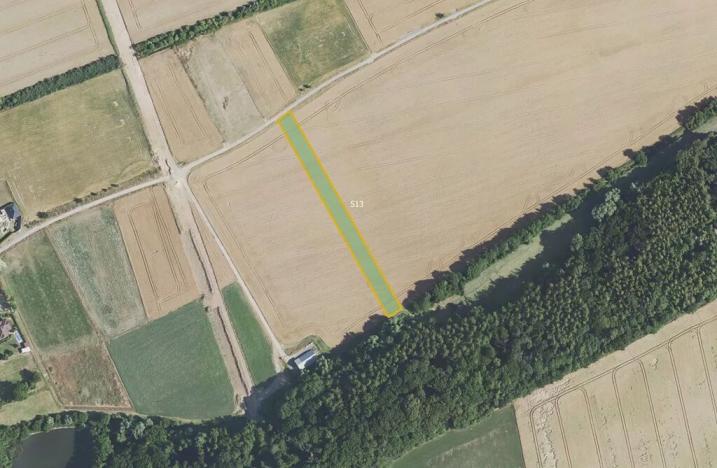 Prodej pole, Dolany, 41267 m2