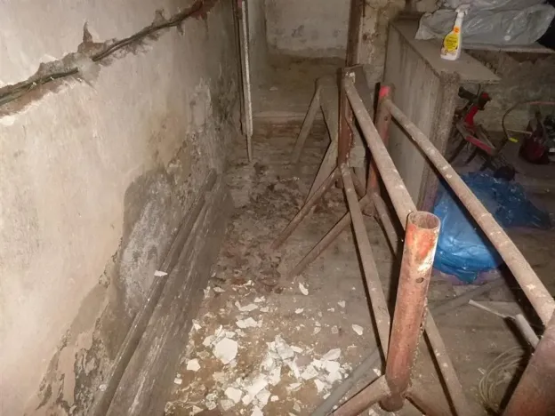 Dražba rodinného domu, Petrohrad, 362 m2