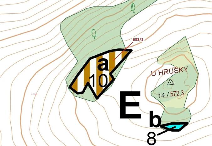 Dražba lesa, Bednáreček, 2802 m2