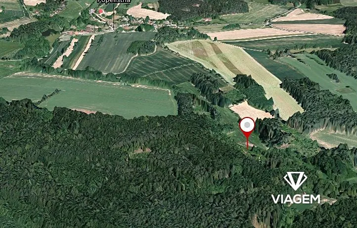 Prodej lesa, Červená Řečice, 1252 m2