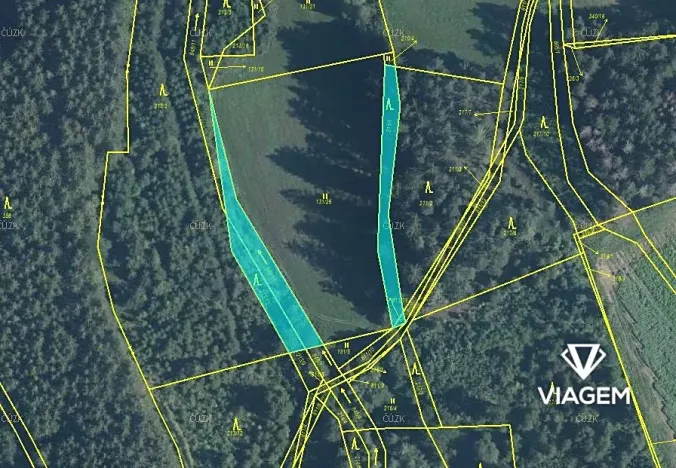 Prodej lesa, Červená Řečice, 1252 m2