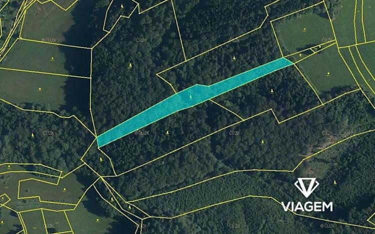 Prodej podílu lesa, Lužná, 1572 m2