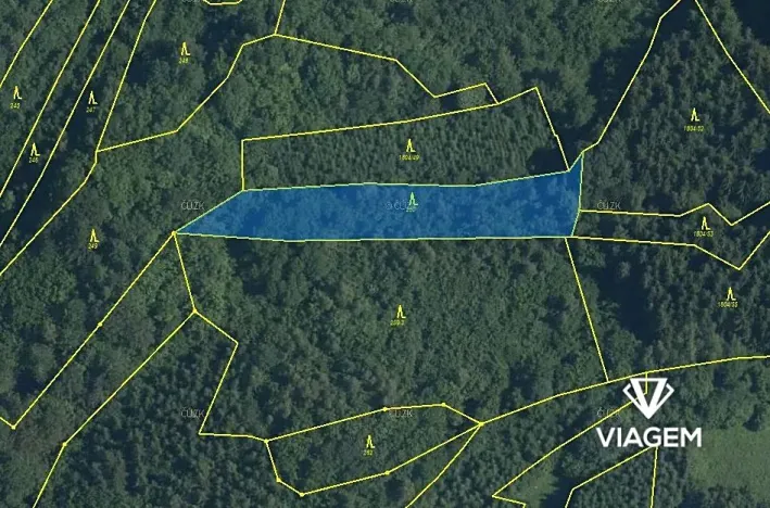 Prodej podílu lesa, Lužná, 593 m2