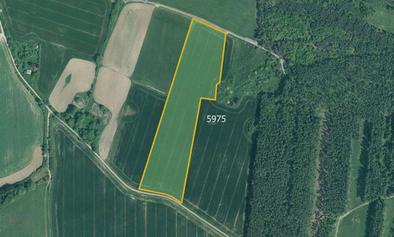 Prodej pole, Slabčice, 77267 m2