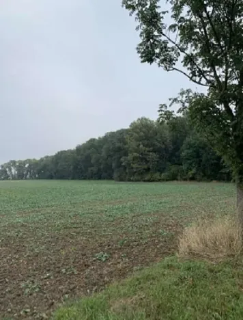 Dražba pole, Budyně nad Ohří, 23046 m2