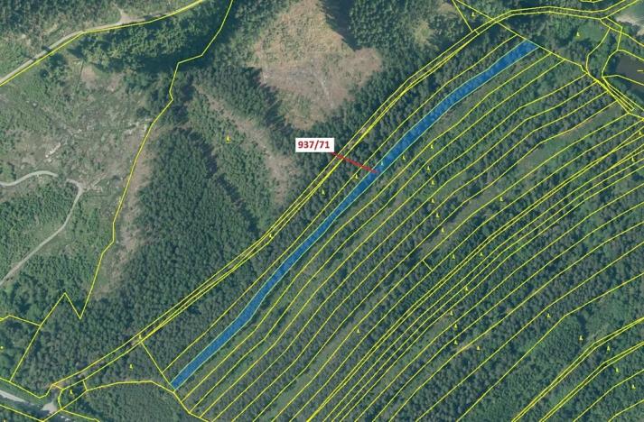 Dražba lesa, Netřebice, 6768 m2