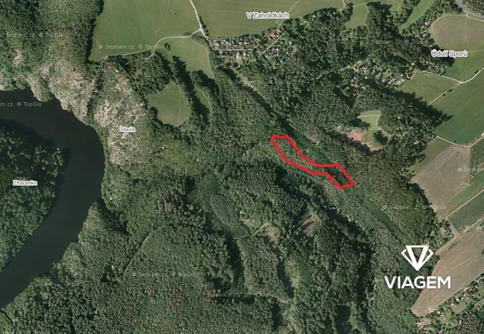 Prodej lesa, Krňany, 8704 m2