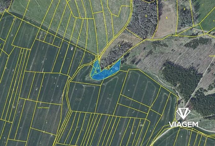 Prodej podílu lesa, Radošovice, 683 m2