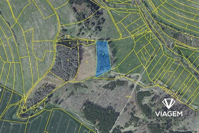 Prodej podílu lesa, Radošovice, 1094 m2