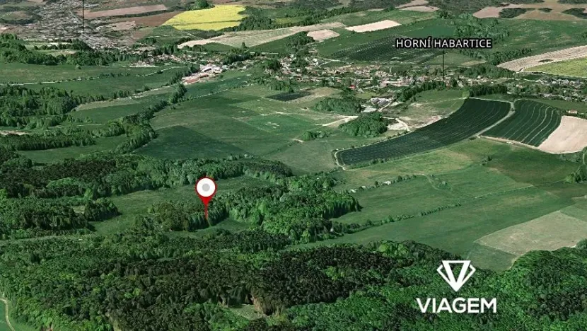 Prodej podílu lesa, Horní Habartice, 2694 m2