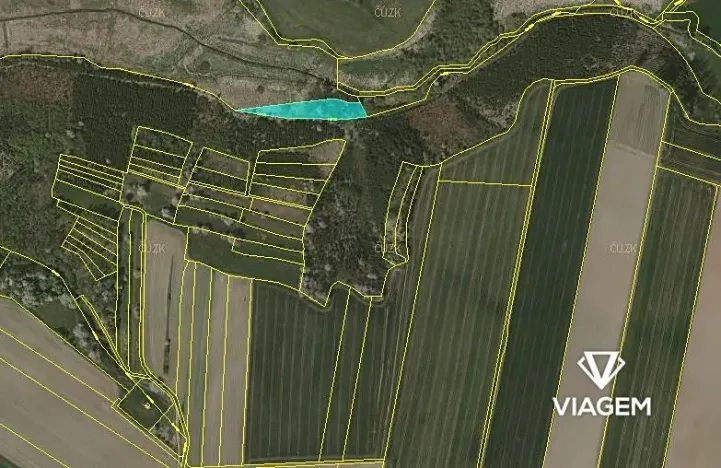 Prodej podílu lesa, Budeč, 2254 m2