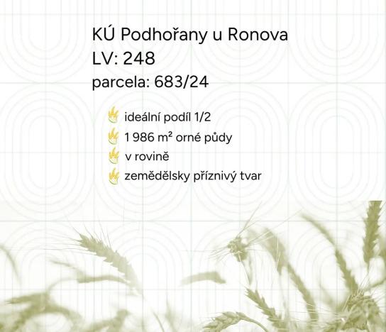 Prodej pole, Podhořany u Ronova, 1986 m2