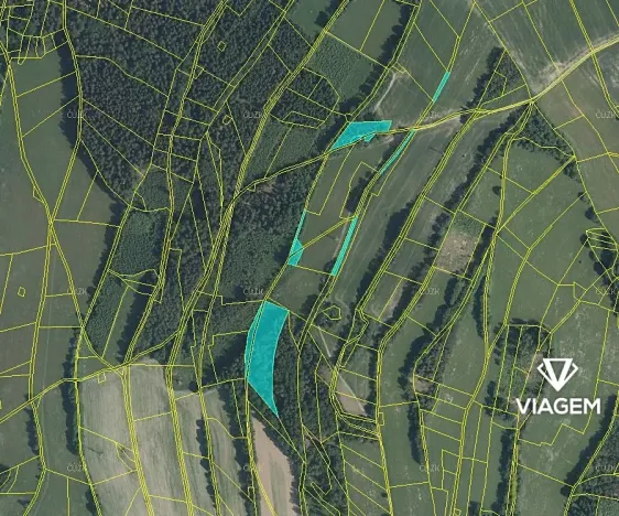 Prodej podílu lesa, Roztoky u Semil, 6000 m2