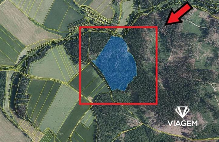 Prodej podílu lesa, Katov, 3762 m2