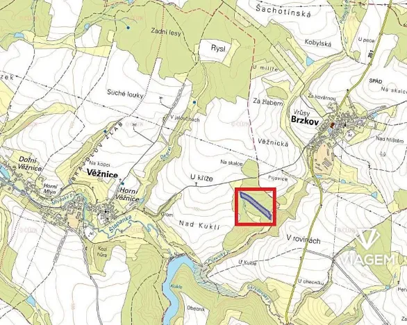 Prodej podílu lesa, Věžnice, 921 m2