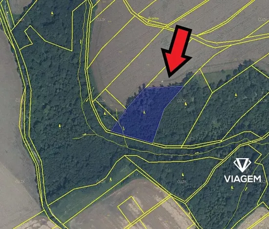 Prodej podílu lesa, Bítov, 3512 m2