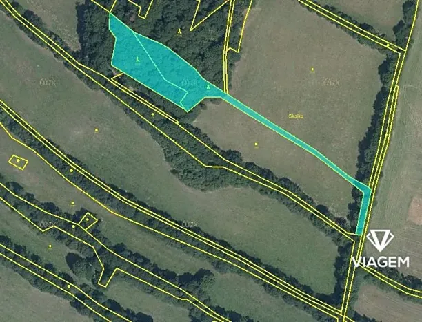 Prodej lesa, Tvrdkov, 5303 m2