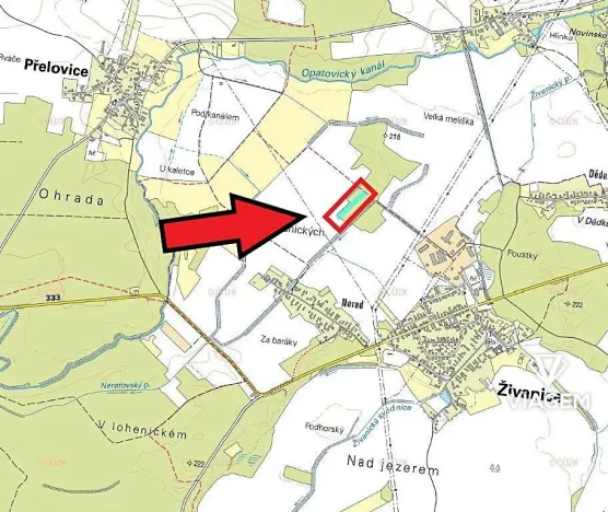 Prodej podílu lesa, Živanice, 3988 m2