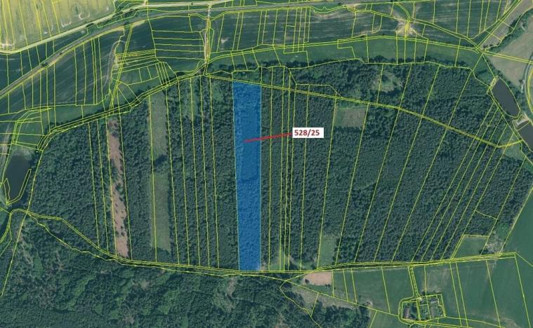 Dražba lesa, Stehlovice, 29451 m2