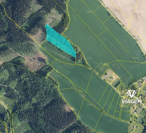 Prodej podílu lesa, Syřenov, 4521 m2