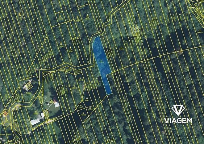 Prodej podílu lesa, Kněždub, 3060 m2