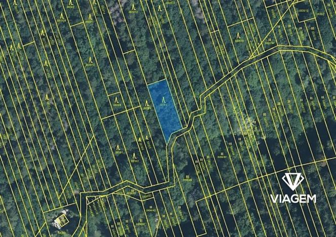 Prodej podílu lesa, Kněždub, 3060 m2