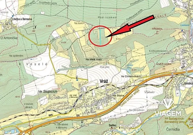 Prodej lesa, Vráž, 3233 m2