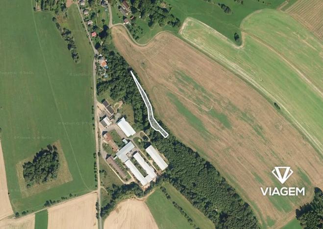 Prodej podílu lesa, Proseč, 522 m2