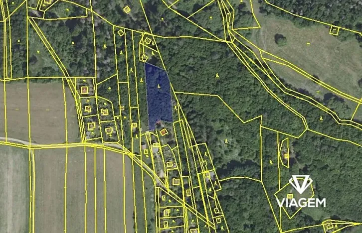 Prodej lesa, Chyňava, 2555 m2