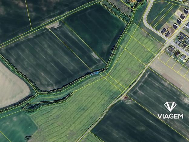 Prodej pole, Petrůvky, 200 m2