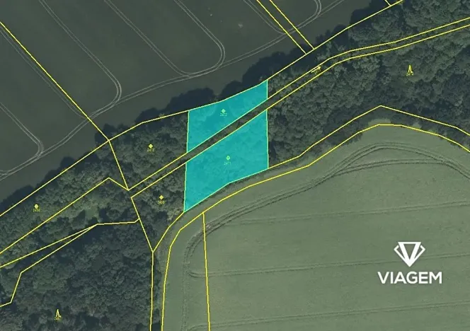 Prodej podílu pole, Mladějov na Moravě, 1655 m2