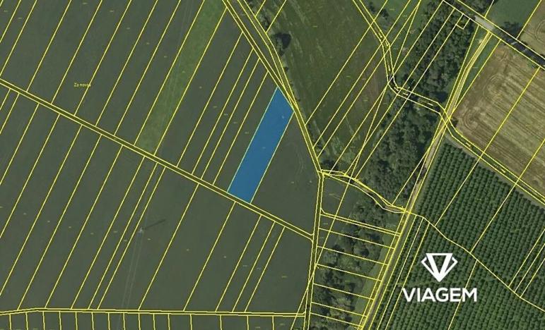 Prodej pole, Vanovice, 4245 m2