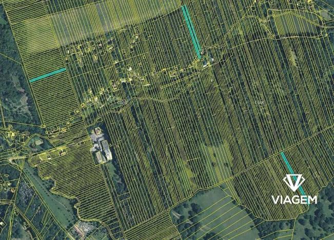 Prodej podílu lesa, Kněždub, 2367 m2