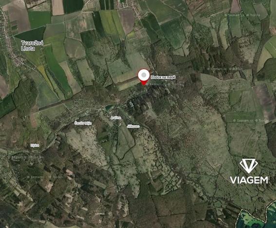 Prodej podílu lesa, Kněždub, 2367 m2