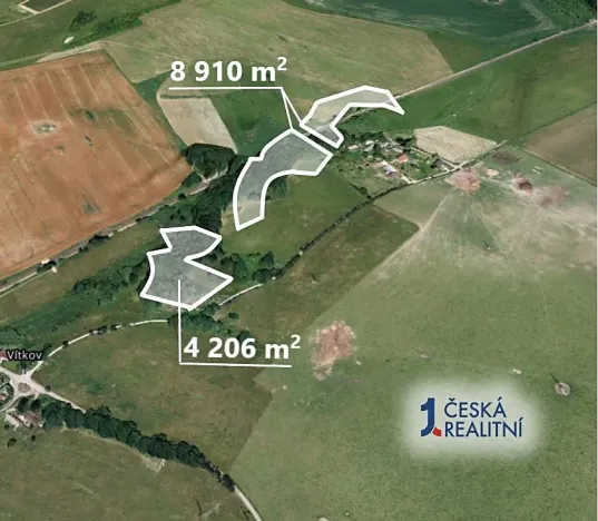 Prodej podílu lesa, Česká Lípa, 6558 m2