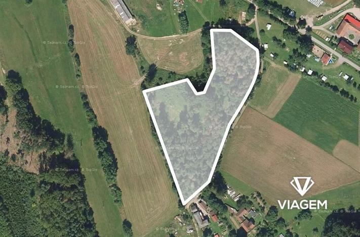 Prodej podílu lesa, Světlá nad Sázavou, 5589 m2