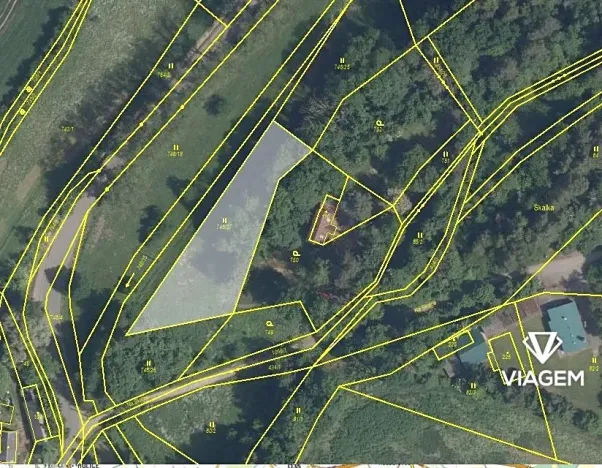 Prodej podílu lesa, Kněžmost, 1570 m2