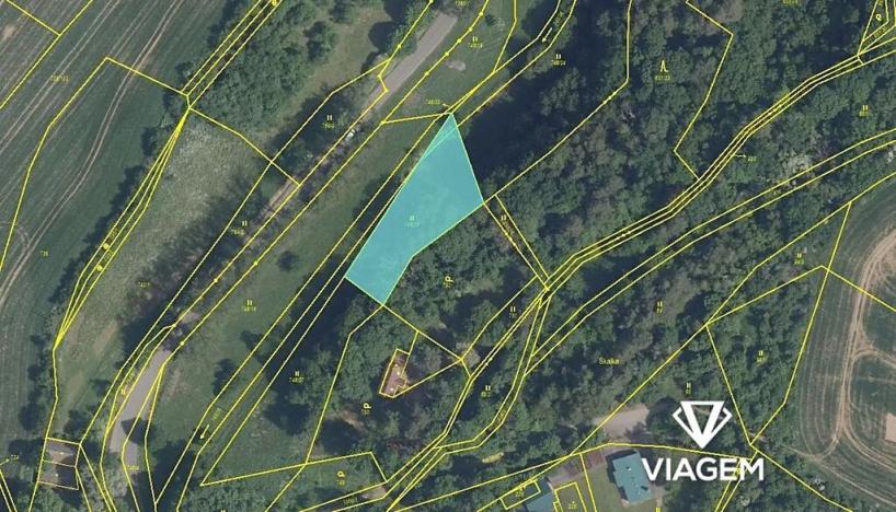 Prodej podílu lesa, Kněžmost, 1570 m2