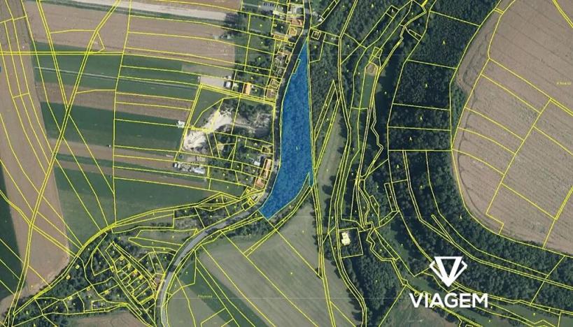 Prodej podílu lesa, Skuteč, 6517 m2