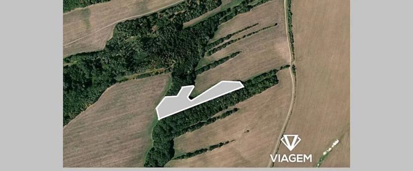 Prodej podílu pole, Suchdol nad Odrou, 163 m2