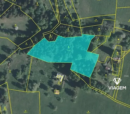 Prodej podílu lesa, Valašská Senice, 4990 m2