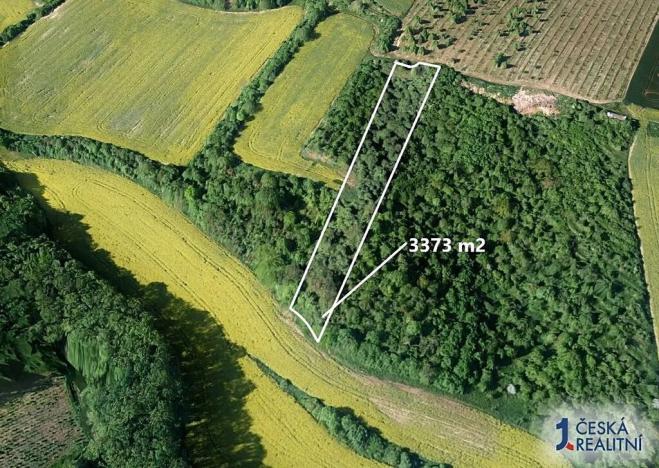 Prodej pole, Čejkovice, 3373 m2