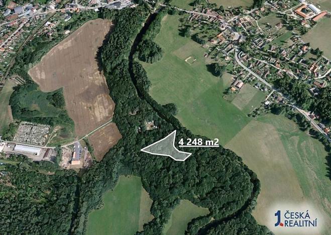 Prodej zahrady, Dvory nad Lužnicí, 4248 m2